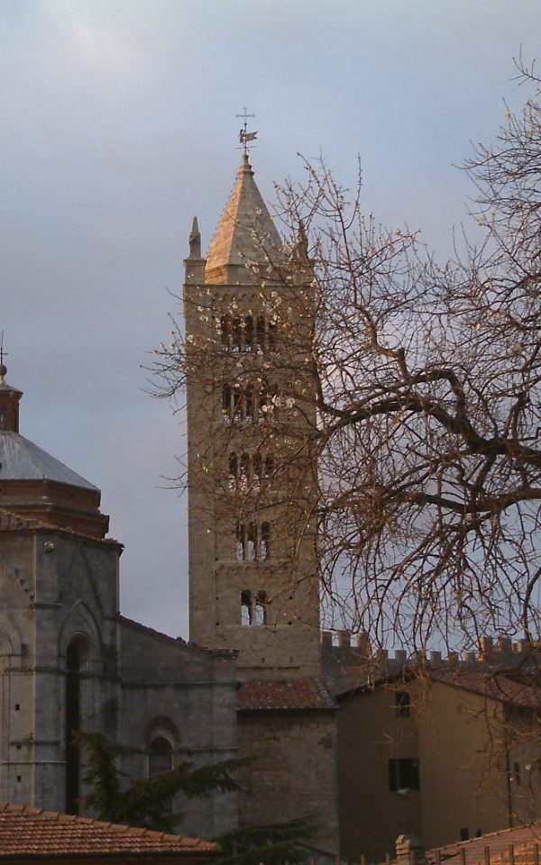 Masssa-Marittima-Duomo