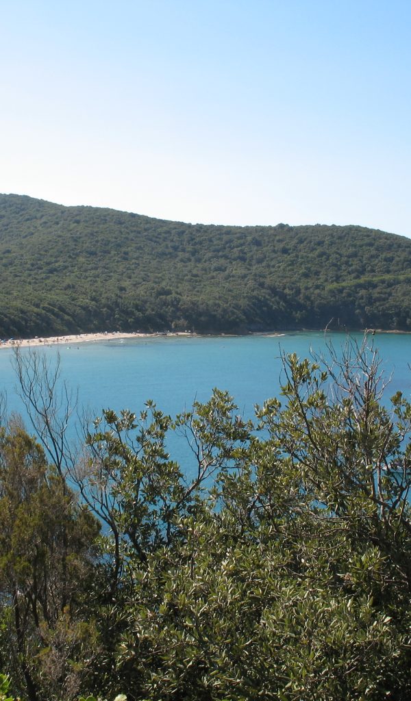 Scarlino-parco-delle-Costiere-Cala-Violina