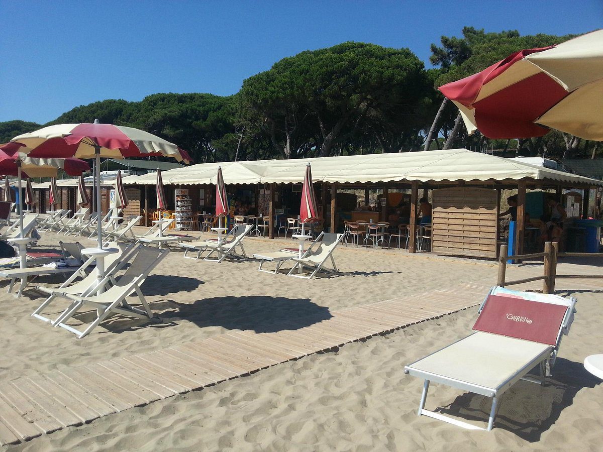 Bar Camping Pineta del Golfo Follonica