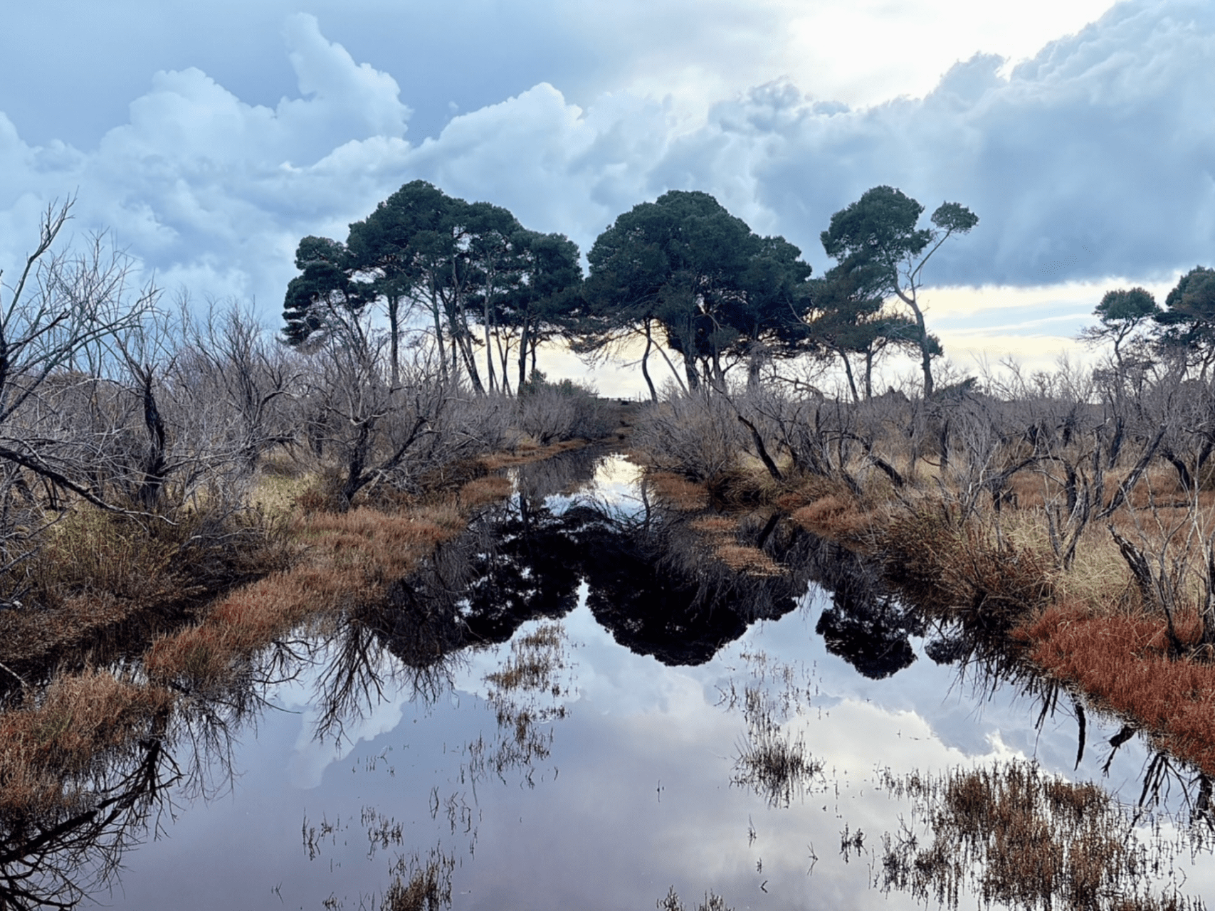 Pineta del Golfo - Cicloturismo (1)